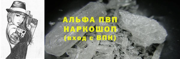 стафф Михайловск