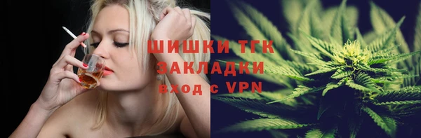 молекула духа Алексеевка