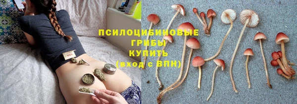 а пвп мука Алексин